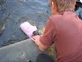 Jaap In de Gracht Koninginnedag