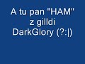 Metin 2 SenioritaS i HAM na sh