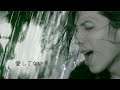 Acid Black Cherry / �����Ƥʤ�