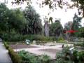 videos de VIDEO DEL BOTANICO 3.mpg