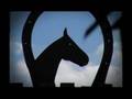 Haras Porto Azul - Newton Sturzeneker - Mangalarga Marchador