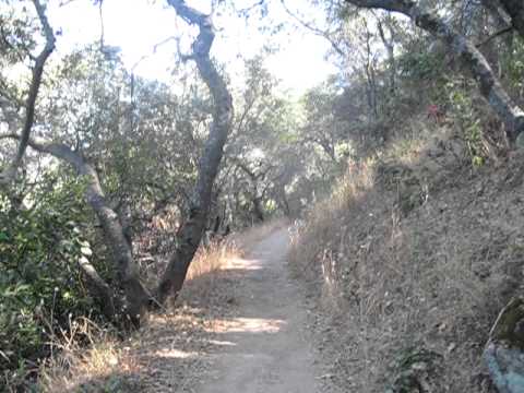 *Pioneer Trail*