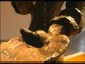 videos de Promofilm Zadkine & Van Gogh