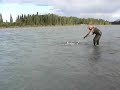 Copper River Kings