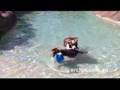 Archie learns to swim