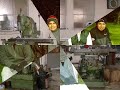TORNOS CHUY GUATEMALA TORNOS CHUY GUATEMALA