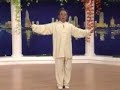 taichi 24 forms part 5 b