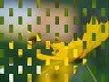Flowers and Photography (Fule Fule Dhole Dhole....)