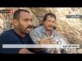 صائد الضباع الأردني