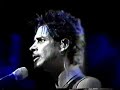 Chris Cornell - Fell On Black Days