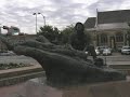 My trip to San Antonio Texas