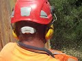 Ace Master tree removal no.2