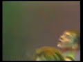 Neds Atomic Dustbin - Kill Your Television - Reading 1993