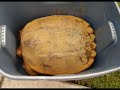 Weekends w/ the Rightious Family: Rescue the Snapping Turtle Weekends w/ the Rightious Family: Rescue the Snapping Turtle