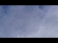 Click here to watch this video DJI WKM DODGES ANGRY BIRD.mov