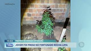 Tráfico de drogas em Bauru: jovem foi preso no fortunado Rocha Lima