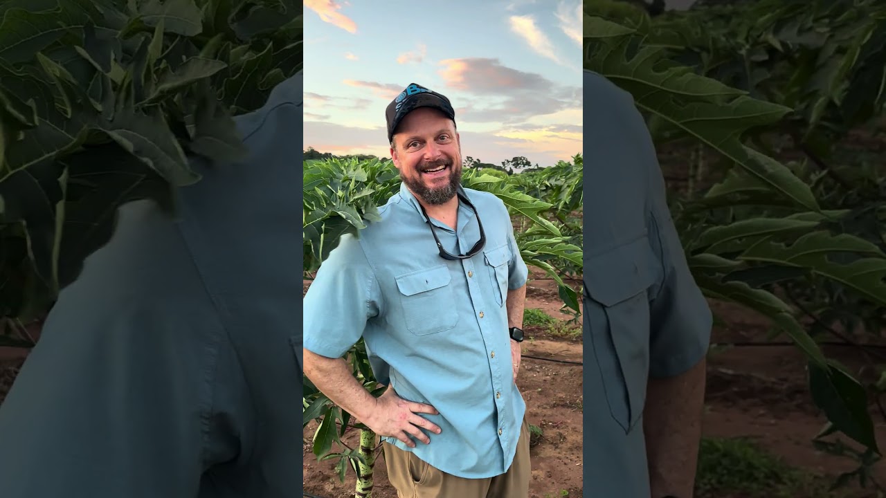 BR SENSE construindo o legado