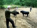 Mermonat  da  Bo?a G�re?i B�l�m I ( Akbucak - Vakap )