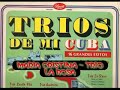 Trio la rosa - Errante de un amor