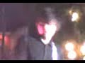 isabel -- callalily
