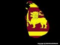 SRI LANKA - What LIONS REPRESENT !!