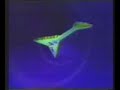 ID de Video Cable Comunicacion-1994