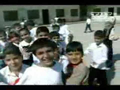 Ver Video