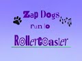 Dog Agility
