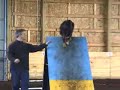 Dog Agility
