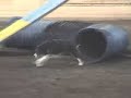 Dog Agility