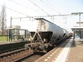 FREIGHT TRAIN MEETING!