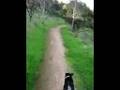 Urban Mushing