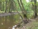 paddling the passaic river