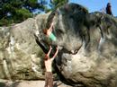 La Voie Michaut 6c Font Elephant La Voie Michaut 6c Font Elephant