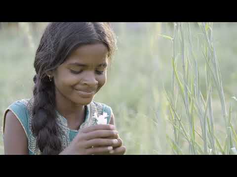 Ver vídeo
