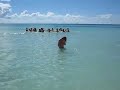 bayahibe