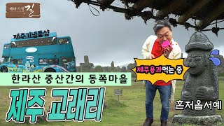 한라산 중산간의 동쪽마을 교래리