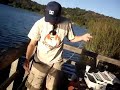 catching a 16 1/2\" catfish catching a 16 1/2\" catfish