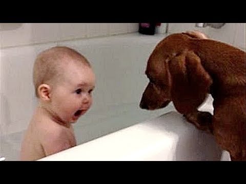 Funny Videos Of Kids and Babies, This Will Make Your Day