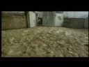 Gladiatrix Documentary Part 8