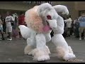Storm Akima cosplay Storm Akima cosplay