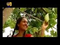 mahmoud-abdelaziz-donyatna-eljameela.html
