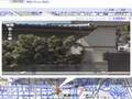 Cats enjoying the Street View of Google maps
