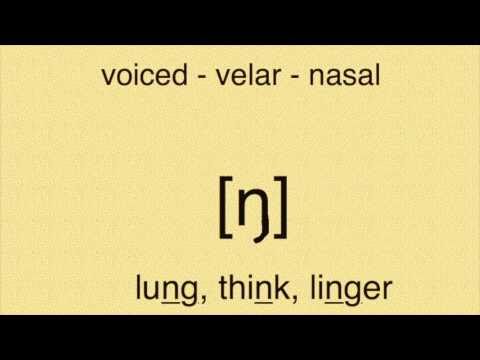 ipa - Some of the phonemes in the IPA. This can be taken seriously, if you wish. Or don't.
