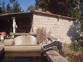 Il terreno di Vittorio Il terreno di Vittorio