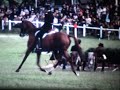 PLR Patrick LE ROLLAND Cadre Noir Dressage Cheval Horse 1971
