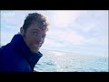 Ultimate Killers: Great White vs Bull Shark