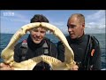 Ultimate Killers: Great White vs Bull Shark