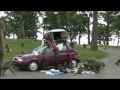 View Video