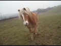 Kily deux ans de folies
